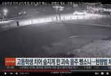 130㎞ 질주 음주 뺑소니에 길 건너던 고교생 숨져