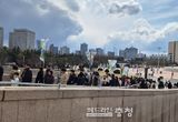 반 고흐 展, 대전서 폭발적 인기, 5일 만에 1만 명 돌파