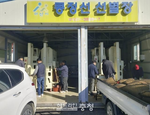 농업기계 임대사업소 콩 선별장 현장