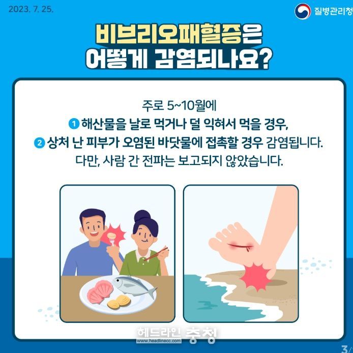 비브리오폐혈증 안내문