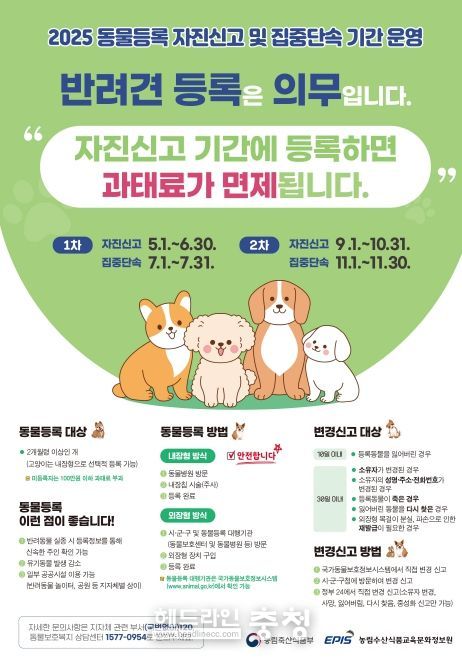 동물등록 자진신고 홍보물