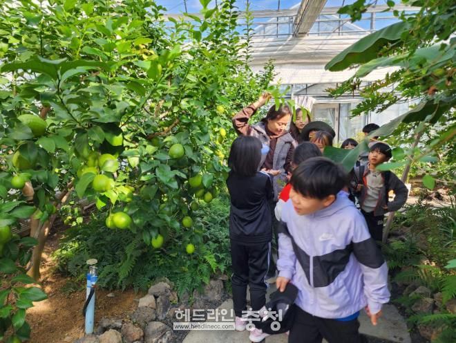 금산군 농업환경체험관 프로그램 참여 모습