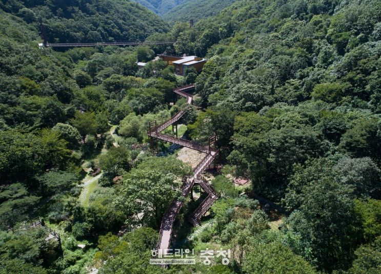 금산산림문화타운