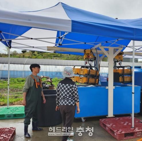청양군농업기술센터에서 농민들이 온탕 소독을 실시하고 있다.